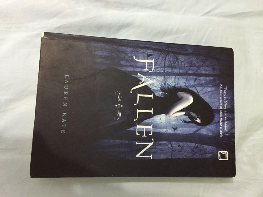 Avis sur la machine à sous Book of Fallen